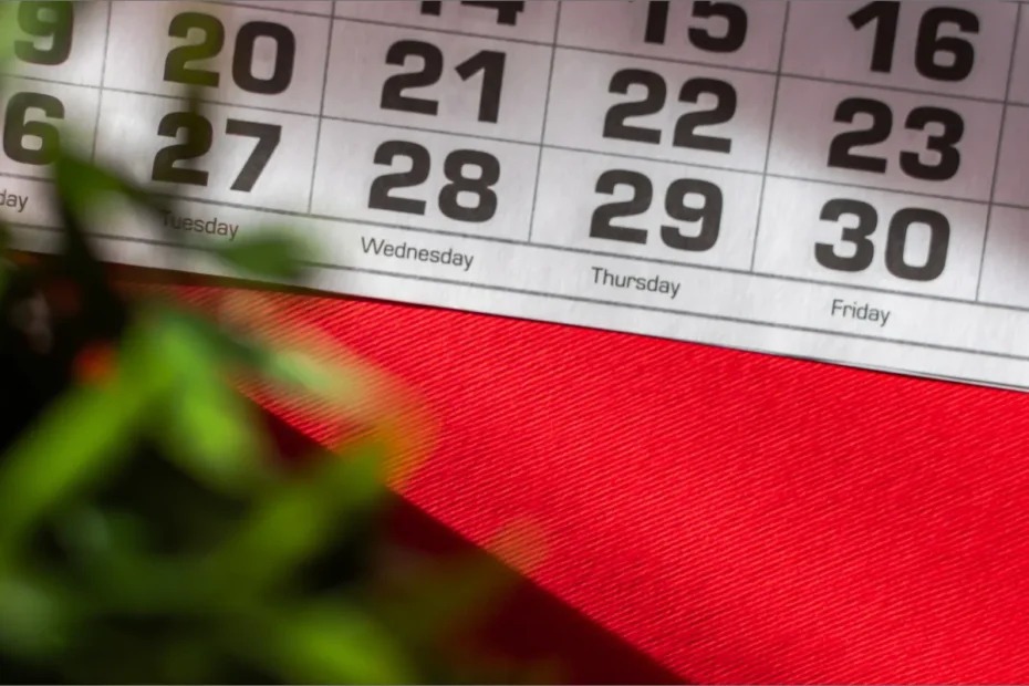 Header – 11 Rounding up 2022! Header – 11 Rounding up 2022!